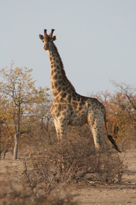 Kruger Park